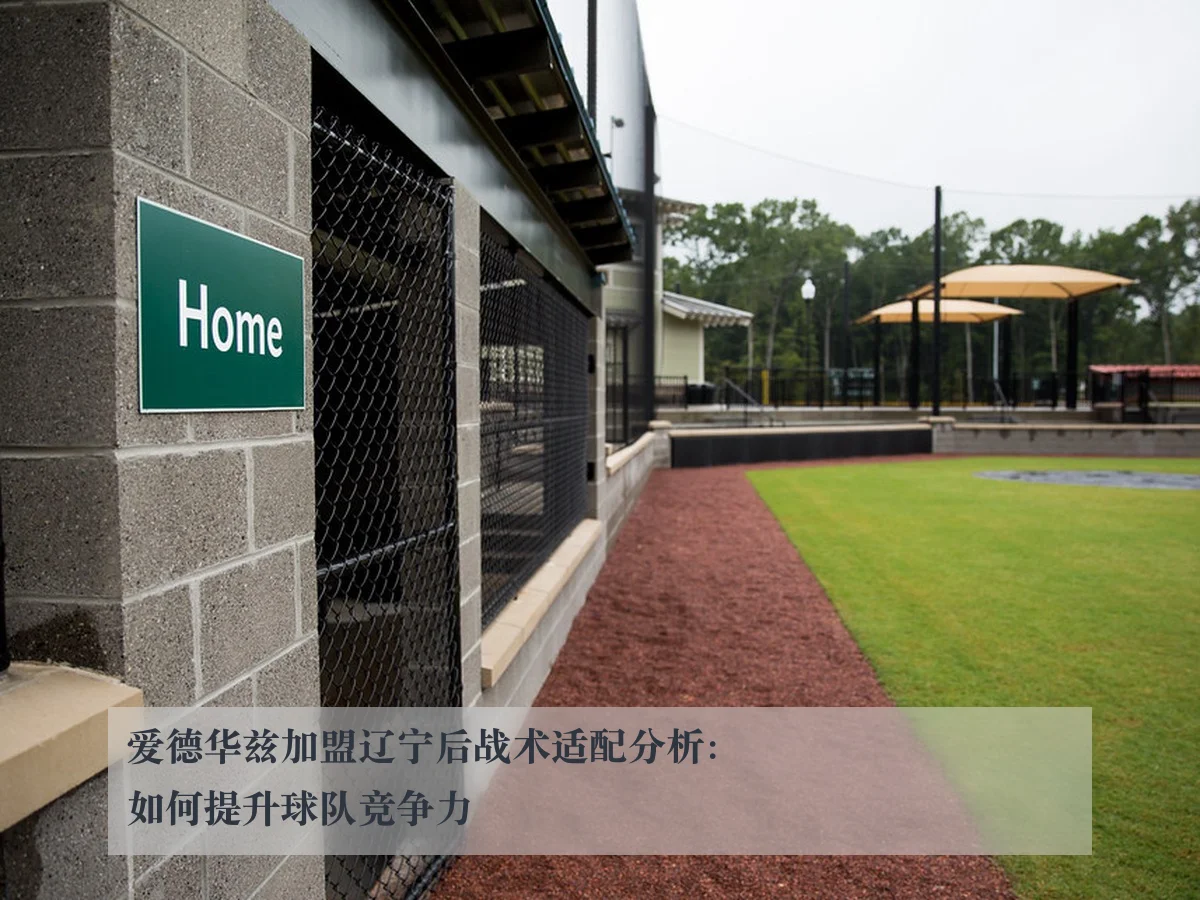爱德华兹加盟辽宁后战术适配分析:如何提升球队竞争力