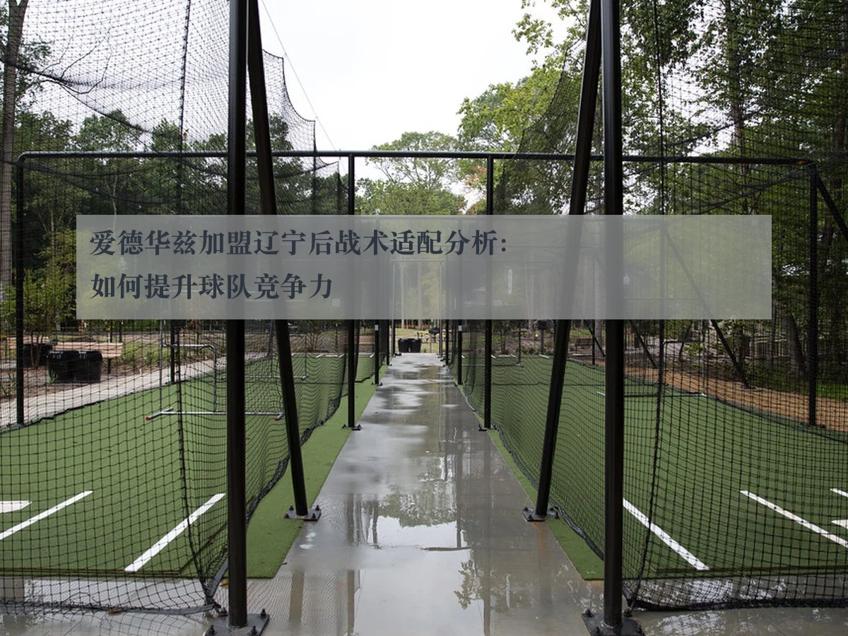 爱德华兹加盟辽宁后战术适配分析:如何提升球队竞争力